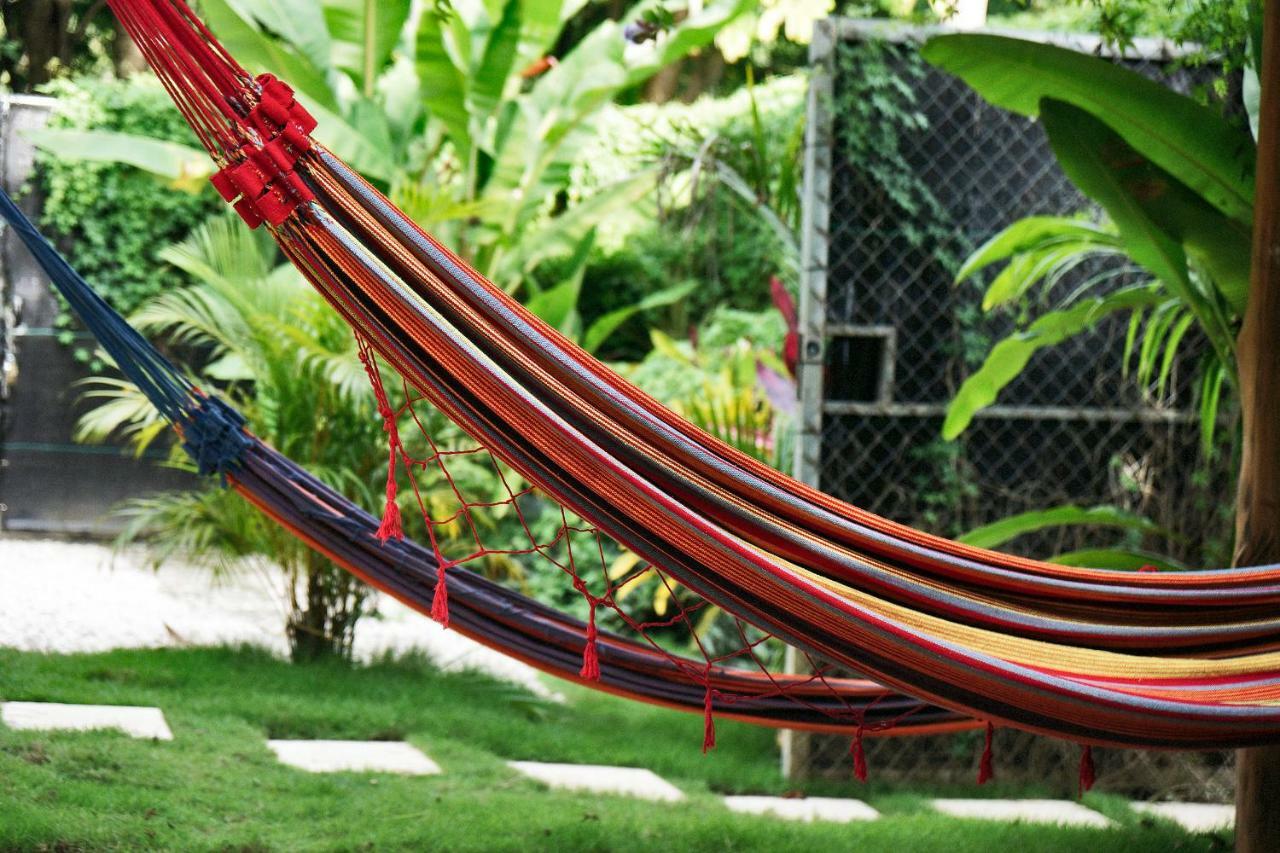 Villa Picasso Playa Santa Teresa  Экстерьер фото