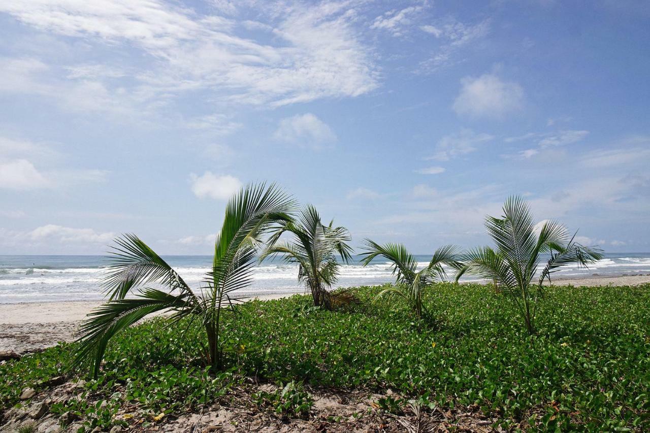 Villa Picasso Playa Santa Teresa  Экстерьер фото